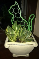 Podpora podpórka drabinka do roślin kwiatów kot cat 32 cm