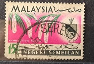 Malezja Stan NIGER SEMBILAN kas 22/8