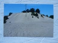 PUSTYNIA SIEDLECKA REGION CZĘSTOCHOWA