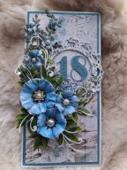 Kartka z okazji 18-stych urodzin / 2658 Szymon Soból