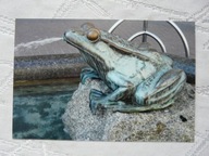 KATOWICE FONTANNA ŻABKA