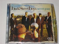 BACKSTREETBOYS - NEVER GONE / U.S.A . / DUALDISC