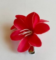 Spinka kwiat hawajski