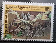 Ryby (kas) - luzak - do uzupełnień 13/5