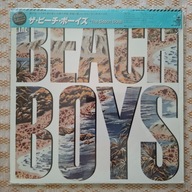 The Beach Boys -The Beach Boys - 1985 Japan (NM/NM+)