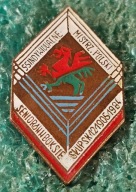 ODZNAKA 55 INDYWIDUALNE MISTRZOSTWA POLSKI W BOKSIE SENIORÓW SŁUPSK 1984