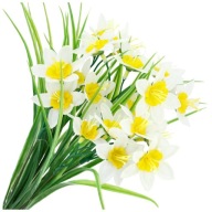 SZTUCZNE GAŁĄZKI ŻONKILE KWIATY 38CM DEKORACJA WNĘTRZ STOŁÓW TRAWA BUKIET