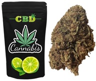 LEMON HAZE CBD 200G Susz Konopny PREMIUM Full Spectrum Naturalny Weed Top