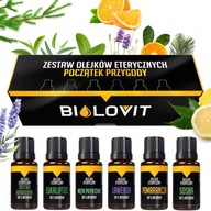 ZESTAW OLEJKÓW ETERYCZNYCH 6x10 MLPOCZĄTEK PRZYGODY PREZENT NA PREZENT ITP