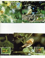 A45171)WWF-Maximum Karty Ptaki: Cook-Inseln 1278 - 1281