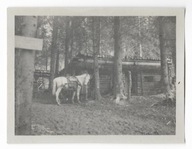 E30 Ck KuK Front Wschodni Rosja Bieszczady Bunkier Ziemianka 2 Grend Rgt 3