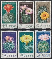 NIEMCY NRD DDR - KAKTUSY - FLORA - CZYSTE **