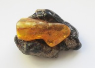 Bursztyn bałtycki i Sumatra 47 gr - 2 szt. zobacz