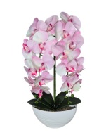 Sztuczny Storczyk gumowy w Doniczce Dwa Pędy Orchidea Jak Żywa Róż