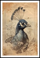 A2 PLAKAT RYSUNEK SZKIC VINTAGE RETRO PTAK PAW PLAKAT Z PAWIEM