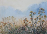 Akwarela Sabina Salamon 28x38 pejzaż las łąki