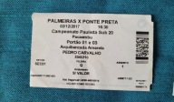 bilet Palmeiras - Ponte Preta l,brazylijska