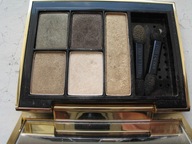 Estee Lauder pure color envy 09 Fierce Safari vntg