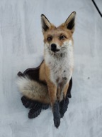 medalion lisa trofea myslistwo rzezba eksponat