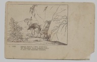Mity Greckie Ninfa 1904r. Rosja Czerwony Krzyż 782j