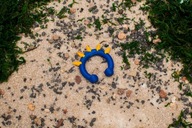 Miraculous Miraculum – pierścień Bawół