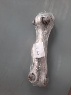 wahacz Lexus IS300H 2017r. tył