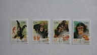 Kuba 1998, Małpy, ssaki, zwierzęta, fauna