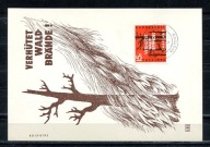A58017)Saara: Maksimum Karta 431