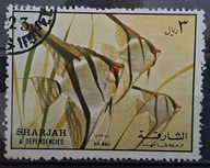 Ryby (**) - luzak - do uzupełnień 13/2