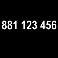 ZŁOTY NUMER, PLATYNOWY NUMER 881 123 456