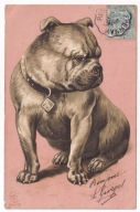 Pies psy Bokser buldog 1903r. LITOGRAFIA Tłoczona