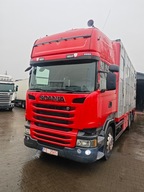 SCANIA R 450*do żywca*świniarka*bydła