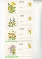 Kwiaty-ciekawe kartki i lustrowane