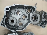 Karter, Rotax 123. Aprilia rs 125