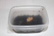 Skoczogonek biały ekipa sprzątająca 250 ml, prosionki,roztocza,owad,wije