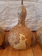 Tykwa Owoc Zdrewniały