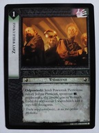 Zbyt Wiele Uwagi 2R45 LOTR TCG