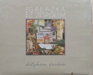 DANIEL GAŁĄZKA Z ZESPOŁEM - DOTYKAM DACHÓW
