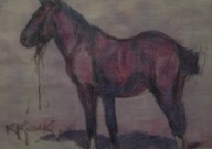 KAROL KOSSAK. KOŃ KAWALERYJSKI. STUDIUM. OK 1950