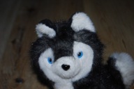 pluszak maskotka pies piesek Husky hasky