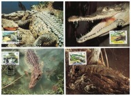 10-MC-GK47- Panama,WWF,1997- Gady-Aligatory