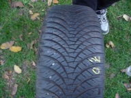 Falken EuroAll Season AS210 195/55R15 85 H