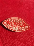TARCZA SZKOLNA WZOROWY UCZEŃ