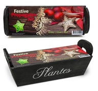 Świąteczny zestaw X-MAS do uprawy ziół w skrzyneczce + GRATISY
