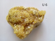 MIN 1323 SIARKA MACHÓW 2 okazy każdy po 150 zł