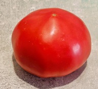 Pomidor Rozova Magiya (122) nasiona kolekcjonerskie