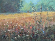 Trawy łąka pejzaż Obraz Olejny Sabina Salamon30x40cm