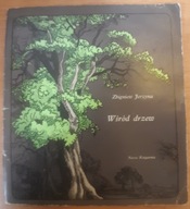 Wśród drzew Zbigniew Jerzyna