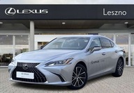 Lexus ES 300h Business Edition VAT 23 Salon PL 1 wlasciciel ASO