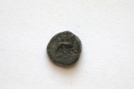 Starożytna Grecja III-I w.p.n.e moneta do identyfikacji 15